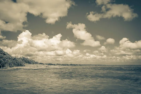 Sian Ka 'an Ulusal Parkı Muyil Chunyaxche Quintana Roo' daki tropikal orman doğa ormanındaki Muyil Lagünü 'ne doğal manzaranın eski siyah beyaz resmi..