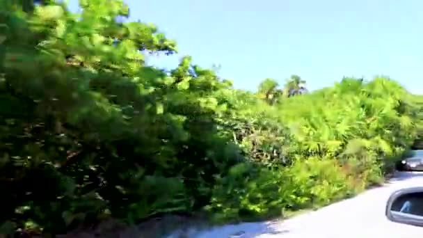 Tulum Mexico Février 2022 Promenade Plage Sur Route Rue Colorée — Video