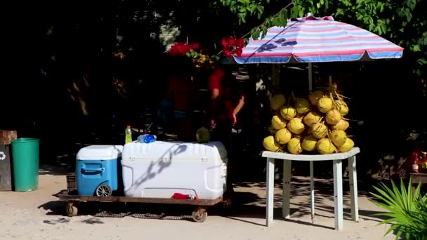 Tulum Mexico Februari 2022 Street Mat Frukt Kokosnötter Och Drycker — Stockvideo