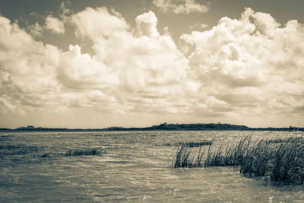 Old Black White Picture Natural Panorama View Muyil Lagoon Tropical — Stock Photo, Image