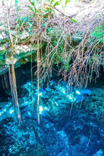 Amazing Blue Turquoise Water Limestone Cave Sinkhole Cenote Tajma Tajmaha — ストック写真