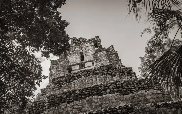 Old Black White Picture Ancient Mayan Site Temple Ruins Pyramids — Stock Photo, Image