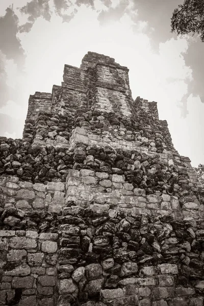 Eski Maya bölgesinin eski siyah beyaz resmi. Tapınak kalıntıları, tropik doğal orman palmiyeleri ve yürüme yolları olan Muyil Chunyaxche Quintana Roo Mexico 'daki kalıntılar..