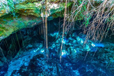 İnanılmaz mavi turkuaz su ve kireçtaşı mağarası çöküntüsü Puerto Aventuras Quintana Roo Mexico 'da Tajma ha Tajmaha' yı sahneledi..
