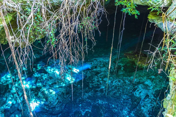 Increíble Cenote Azul Turquesa Agua Cueva Piedra Caliza Tajma Tajmaha —  Fotos de Stock