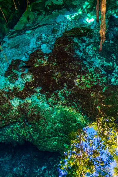 素晴らしい青ターコイズブルーの水と石灰岩の洞窟の陥没穴の中心部プエルト アベンチュラのTjma Tajmahaキンタナ メキシコ — ストック写真