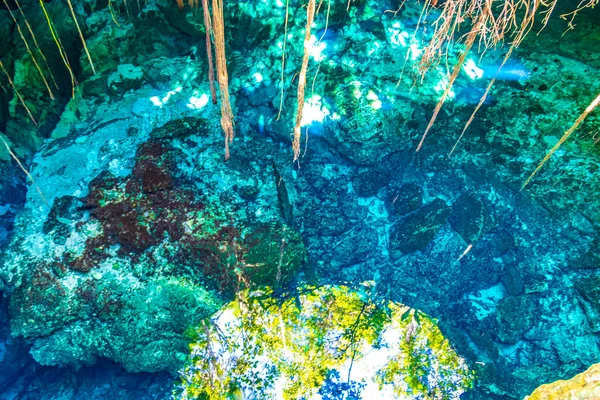 Amazing Blue Turquoise Water Limestone Cave Sinkhole Cenote Tajma Tajmaha — Foto Stock
