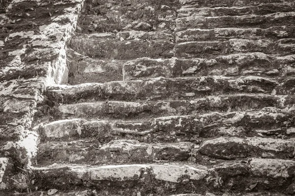 Old Black White Picture Texture Ancient Mayan Site Temple Ruins — Fotografia de Stock