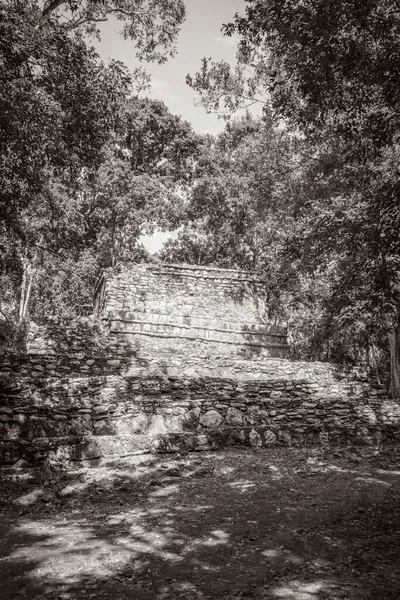 Antigua Imagen Blanco Negro Del Antiguo Sitio Maya Con Ruinas —  Fotos de Stock