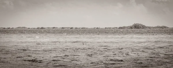 Παλιά Ασπρόμαυρη Εικόνα Της Φυσικής Πανοραμική Θέα Στη Λιμνοθάλασσα Muyil — Φωτογραφία Αρχείου