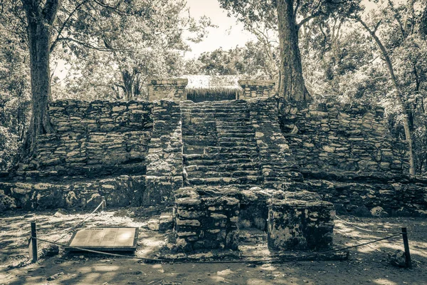 Starý Černobílý Obrázek Starověké Mayské Stránky Zříceninami Chrámu Pyramidy Artefakty — Stock fotografie