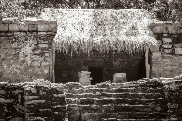 Eski Maya Bölgesinin Eski Siyah Beyaz Resmi Tapınak Kalıntıları Tropik — Stok fotoğraf