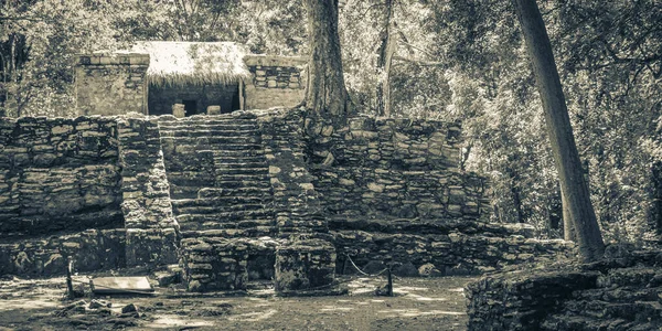 Старая Черно Белая Фотография Древнего Места Майя Храмовыми Руинами Пирамид — стоковое фото