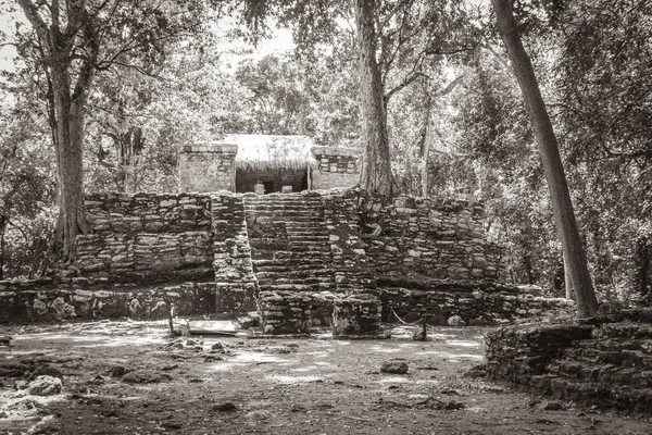 Old Black White Picture Ancient Mayan Site Temple Ruins Pyramids — Stock Photo, Image