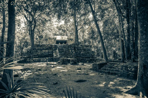 Velha Imagem Preto Branco Antigo Sítio Maia Com Ruínas Templos — Fotografia de Stock