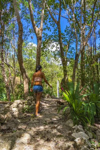 Beautiful Pretty Woman Walks Tropical Jungle Forest Plants Palm Trees — стоковое фото