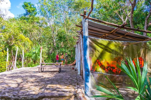 Puerto Aventuras Meksika 04. Şubat 2022 Tropikal Meksika ormanları ağaçlar ve doğal orman manzarası ve Puerto Aventuras Meksika 'da yürüyüş yolu.