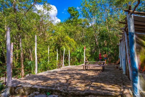 Puerto Aventuras Meksika 04. Şubat 2022 Tropikal Meksika ormanları ağaçlar ve doğal orman manzarası ve Puerto Aventuras Meksika 'da yürüyüş yolu.