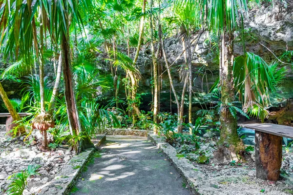 Puerto Aventuras Quintana Roo Mexico 'daki muhteşem mavi turkuaz suya ve kireçtaşı mağarasına giriş ve yürüyüş yolu..