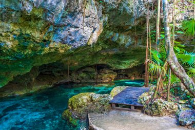 İnanılmaz mavi turkuaz su ve kireçtaşı mağarası çöküntüsü Puerto Aventuras Quintana Roo Mexico 'da Tajma ha Tajmaha' yı sahneledi..