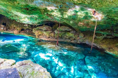 İnanılmaz mavi turkuaz su ve kireçtaşı mağarası çöküntüsü Puerto Aventuras Quintana Roo Mexico 'da Tajma ha Tajmaha' yı sahneledi..