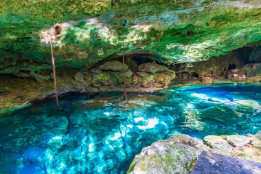 İnanılmaz mavi turkuaz su ve kireçtaşı mağarası çöküntüsü Puerto Aventuras Quintana Roo Mexico 'da Tajma ha Tajmaha' yı sahneledi..