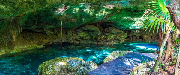 Amazing Blue Turquoise Water Limestone Cave Sinkhole Cenote Tajma Tajmaha —  Fotos de Stock