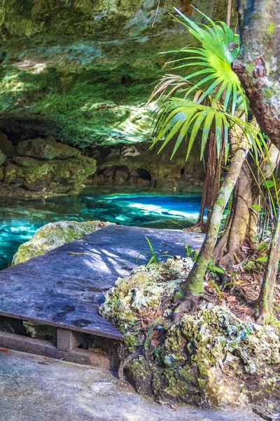 Niesamowita Niebieska Turkusowa Woda Jaskinia Wapienna Cenote Tajma Tajmaha Puerto — Zdjęcie stockowe