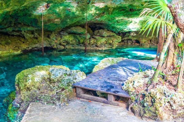 İnanılmaz mavi turkuaz su ve kireçtaşı mağarası çöküntüsü Puerto Aventuras Quintana Roo Mexico 'da Tajma ha Tajmaha' yı sahneledi..