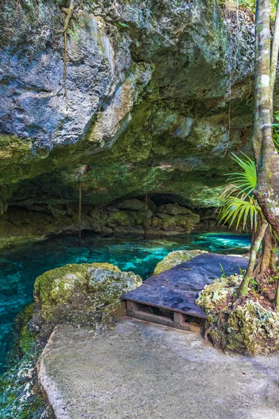 素晴らしい青ターコイズブルーの水と石灰岩の洞窟の陥没穴の中心部プエルト アベンチュラのTjma Tajmahaキンタナ メキシコ — ストック写真