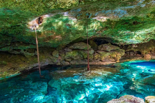 İnanılmaz mavi turkuaz su ve kireçtaşı mağarası çöküntüsü Puerto Aventuras Quintana Roo Mexico 'da Tajma ha Tajmaha' yı sahneledi..