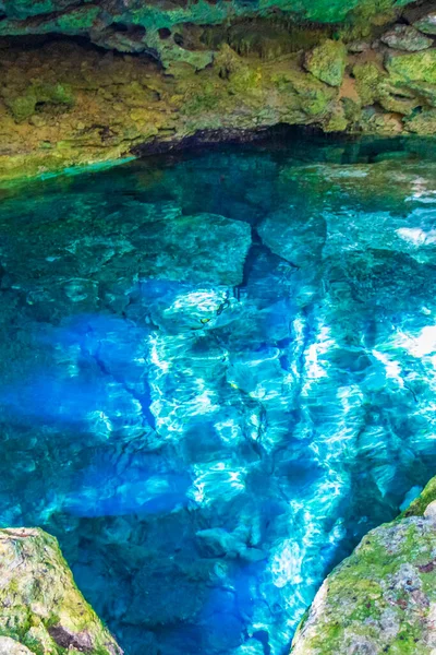 素晴らしい青ターコイズブルーの水と石灰岩の洞窟の陥没穴の中心部プエルト アベンチュラのTjma Tajmahaキンタナ メキシコ — ストック写真