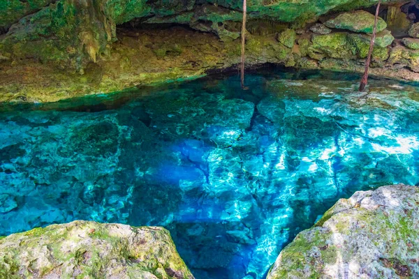 İnanılmaz mavi turkuaz su ve kireçtaşı mağarası çöküntüsü Puerto Aventuras Quintana Roo Mexico 'da Tajma ha Tajmaha' yı sahneledi..