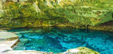 İnanılmaz mavi turkuaz su ve kireçtaşı mağarası çöküntüsü Puerto Aventuras Quintana Roo Mexico 'da Tajma ha Tajmaha' yı sahneledi..