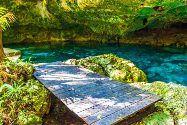 İnanılmaz mavi turkuaz su ve kireçtaşı mağarası çöküntüsü Puerto Aventuras Quintana Roo Mexico 'da Tajma ha Tajmaha' yı sahneledi..