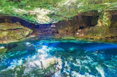 İnanılmaz mavi turkuaz su ve kireçtaşı mağarası çöküntüsü Puerto Aventuras Quintana Roo Mexico 'da Tajma ha Tajmaha' yı sahneledi..
