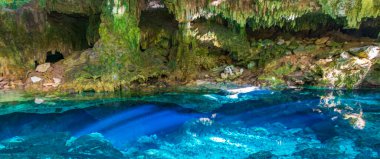 İnanılmaz mavi turkuaz su ve kireçtaşı mağarası çöküntüsü Puerto Aventuras Quintana Roo Mexico 'da Tajma ha Tajmaha' yı sahneledi..