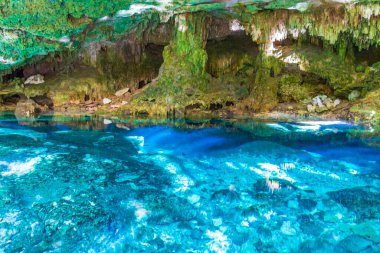 İnanılmaz mavi turkuaz su ve kireçtaşı mağarası çöküntüsü Puerto Aventuras Quintana Roo Mexico 'da Tajma ha Tajmaha' yı sahneledi..