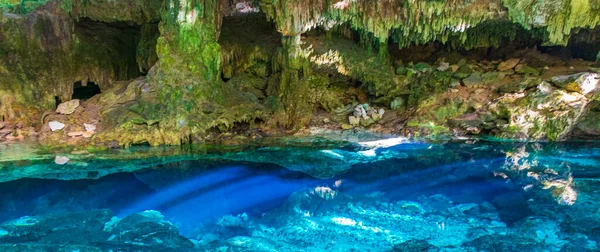 İnanılmaz mavi turkuaz su ve kireçtaşı mağarası çöküntüsü Puerto Aventuras Quintana Roo Mexico 'da Tajma ha Tajmaha' yı sahneledi..