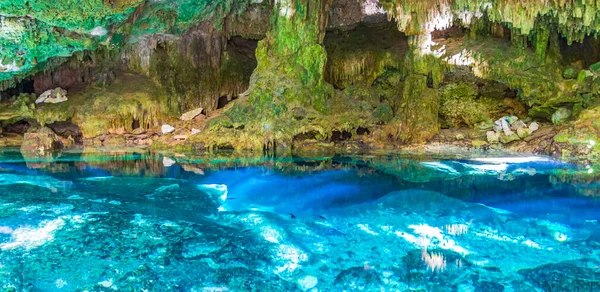 İnanılmaz mavi turkuaz su ve kireçtaşı mağarası çöküntüsü Puerto Aventuras Quintana Roo Mexico 'da Tajma ha Tajmaha' yı sahneledi..