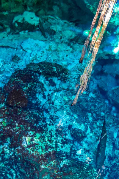 Incroyable Caverne Eau Turquoise Bleue Calcaire Cenote Tajma Tajmaha Puerto — Photo