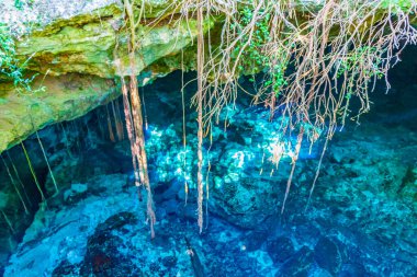 İnanılmaz mavi turkuaz su ve kireçtaşı mağarası çöküntüsü Puerto Aventuras Quintana Roo Mexico 'da Tajma ha Tajmaha' yı sahneledi..