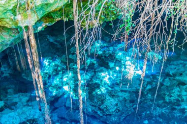 İnanılmaz mavi turkuaz su ve kireçtaşı mağarası çöküntüsü Puerto Aventuras Quintana Roo Mexico 'da Tajma ha Tajmaha' yı sahneledi..