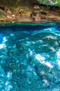 İnanılmaz mavi turkuaz su ve kireçtaşı mağarası çöküntüsü Puerto Aventuras Quintana Roo Mexico 'da Tajma ha Tajmaha' yı sahneledi..