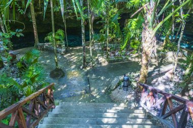 Puerto Aventuras Quintana Roo Mexico 'daki muhteşem mavi turkuaz suya ve kireçtaşı mağarasına giriş ve yürüyüş yolu..