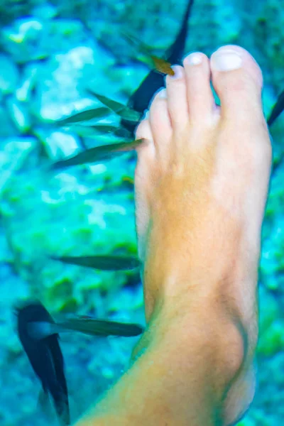 Fish spa pedicure fish bite feet in the amazing blue turquoise water and limestone cave sinkhole cenote Tajma ha Tajmaha in Puerto Aventuras Quintana Roo Mexico.