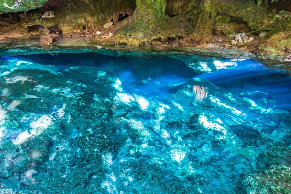 素晴らしい青ターコイズブルーの水と石灰岩の洞窟の陥没穴の中心部プエルト アベンチュラのTjma Tajmahaキンタナ メキシコ — ストック写真