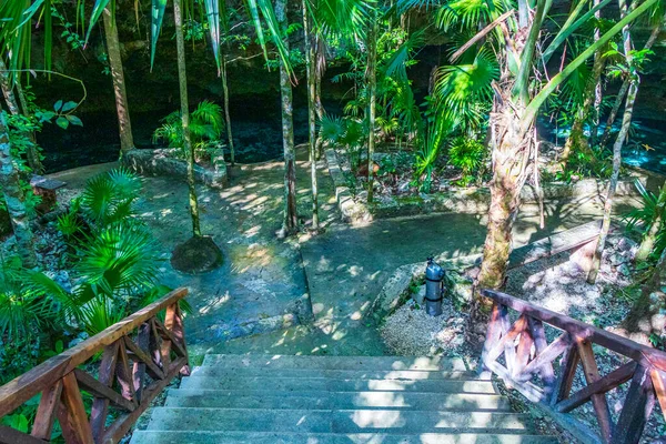 Entrance and walking path to the amazing blue turquoise water and limestone cave sinkhole cenote Tajma ha Tajmaha in Puerto Aventuras Quintana Roo Mexico.