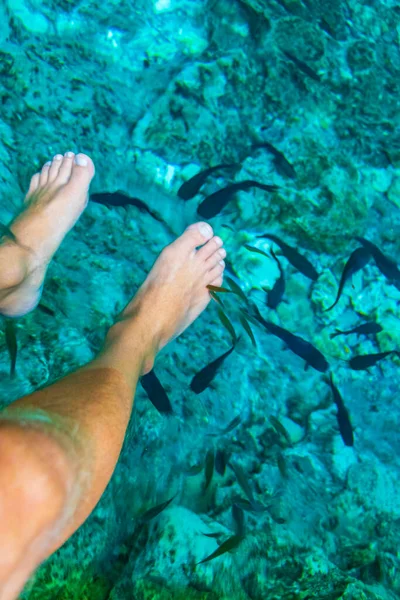 Fish spa pedicure fish bite feet in the amazing blue turquoise water and limestone cave sinkhole cenote Tajma ha Tajmaha in Puerto Aventuras Quintana Roo Mexico.
