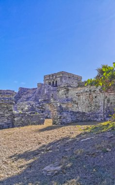 Antik Tulum, Tulum Quintana Roo Meksika 'da tropikal doğal orman palmiye ağaçları, deniz manzarası ve yürüyüş patikalarının kalıntıları ile Maya bölgesini harap eder..